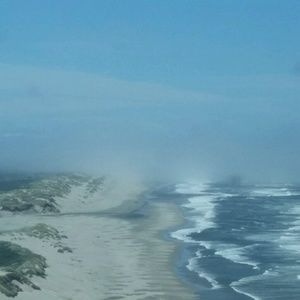 Meet your Posher, Tyanne